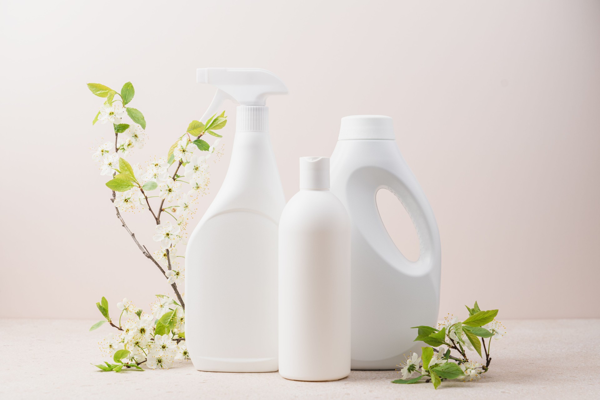 Cleaning service concept